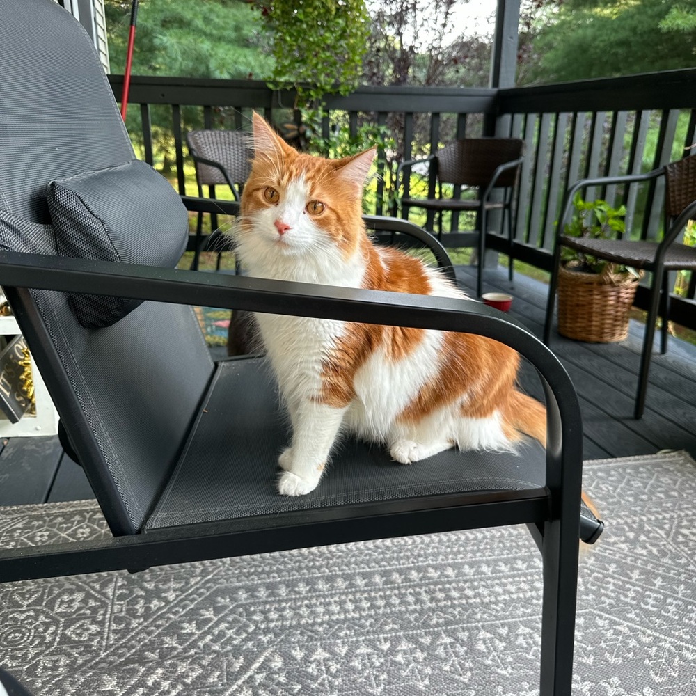 Meet your Posher, Mara